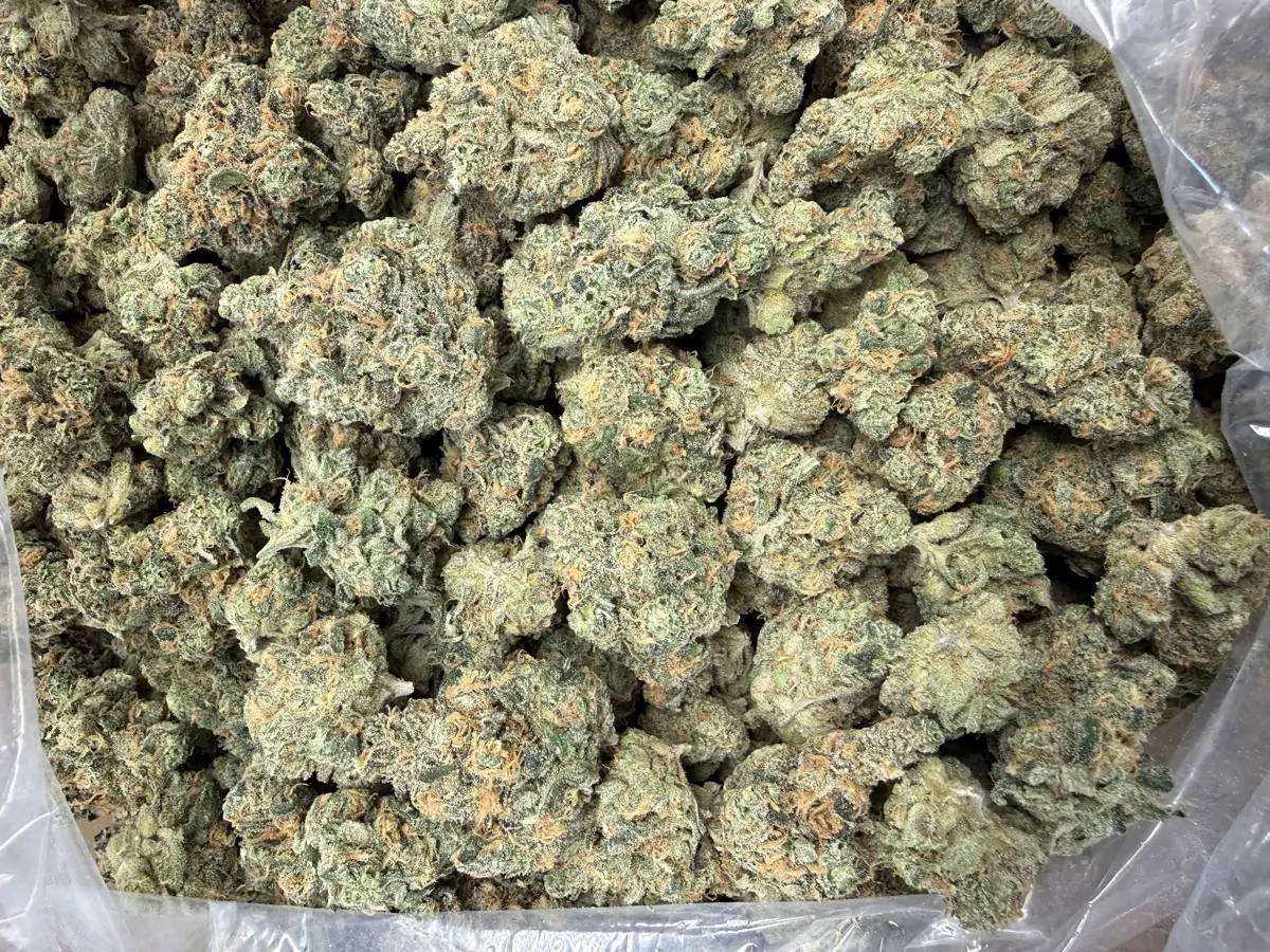 Blue Dream Flower
